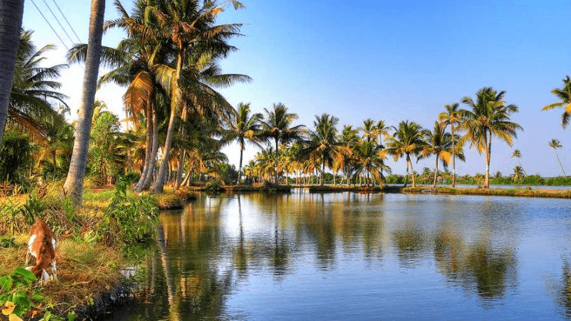 Day out program in Kumbalangi