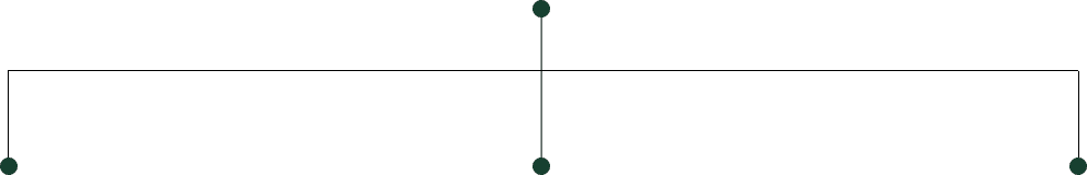 Sustainability Pillars